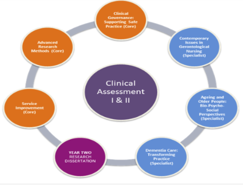 Gerontological programme structure