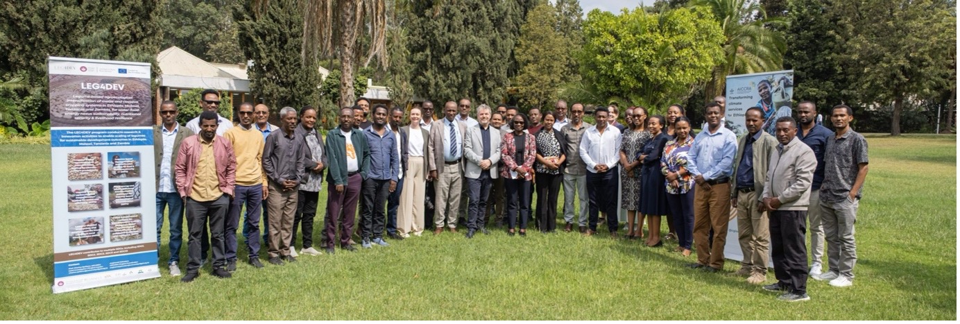 Legume scaling Africa