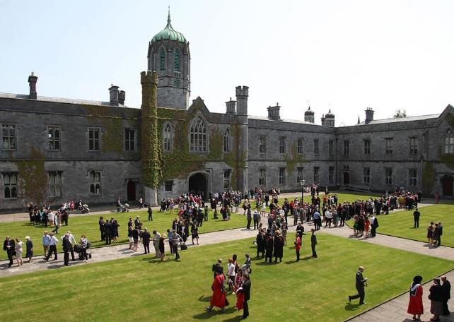 International_Dev- Transferable Skills