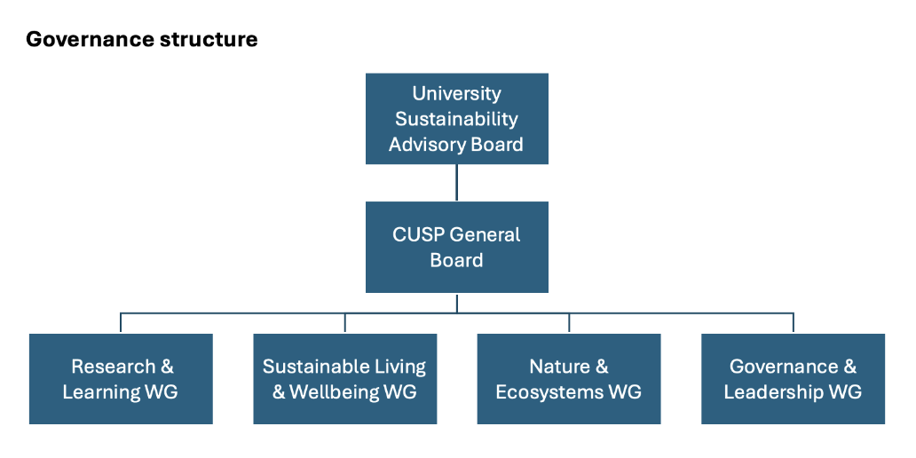 Sustainability governance structure