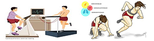 Exercise Physiology Graphic 1