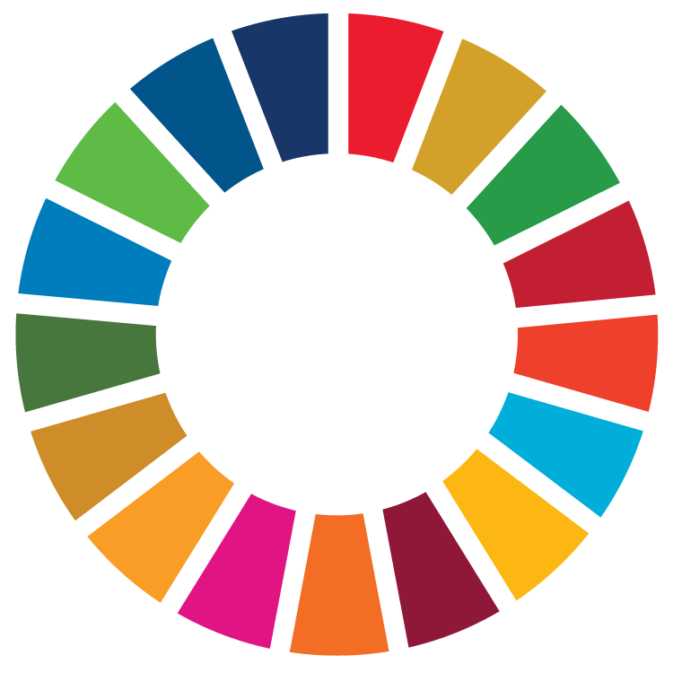 sdgicon
