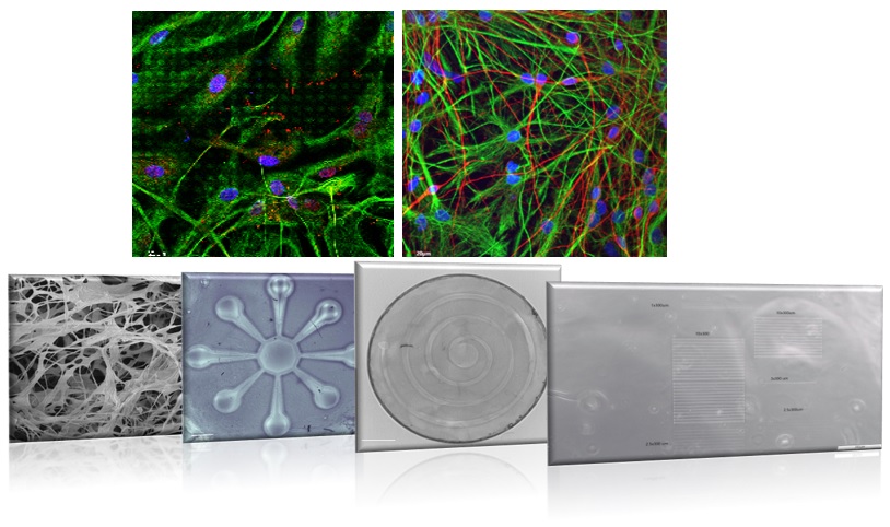 CVG Montage showing images related to the group and output