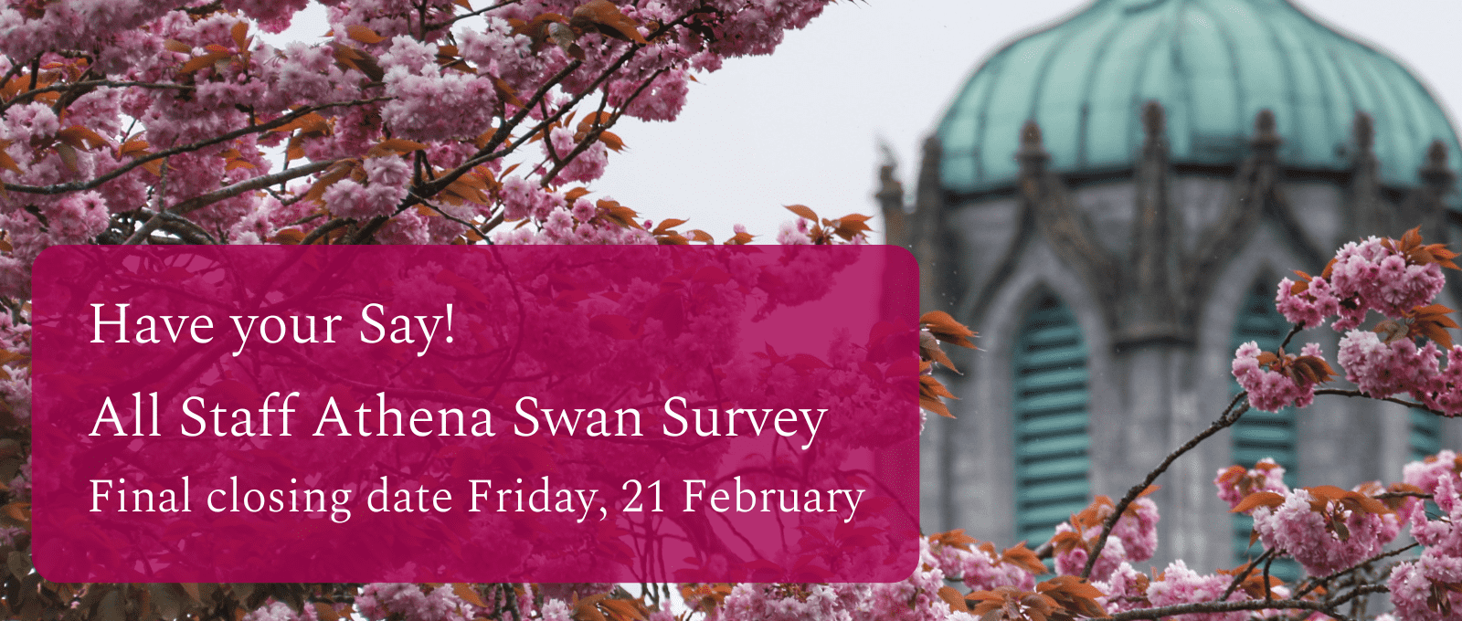  Athena Swan All Staff Survey